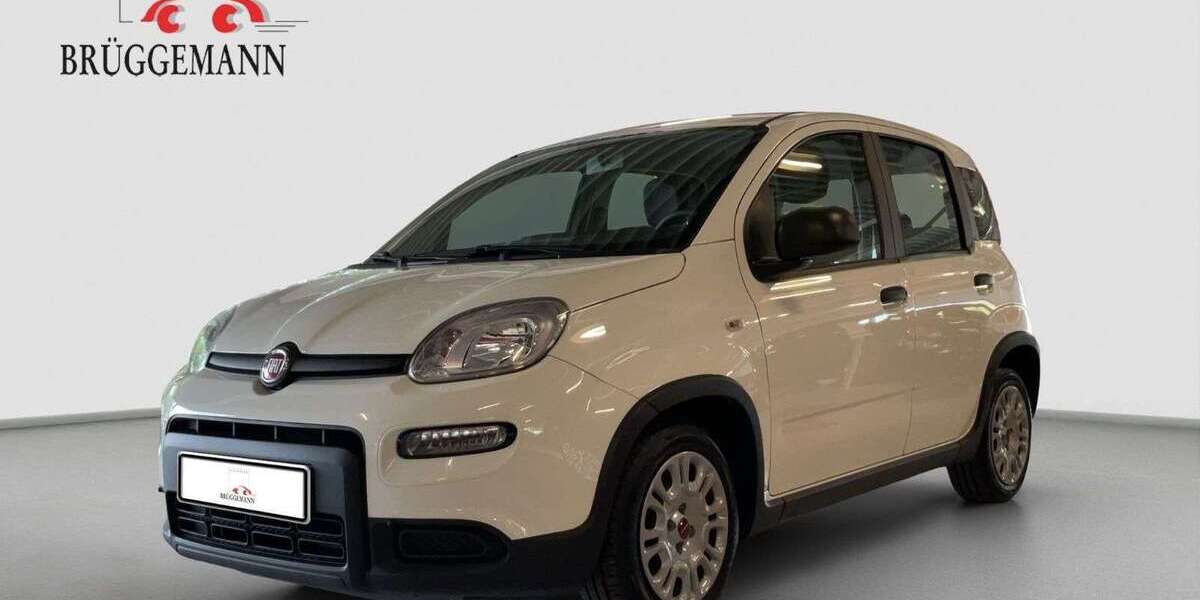 Fiat Panda 36.139 km 10.990 &euro; Osnabrück 49078