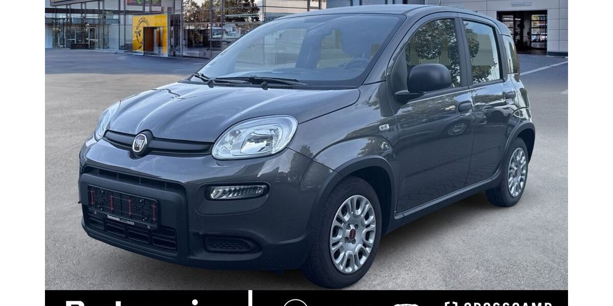 Fiat Panda 28.219 km 11.925 &euro; Steinfurt 48565