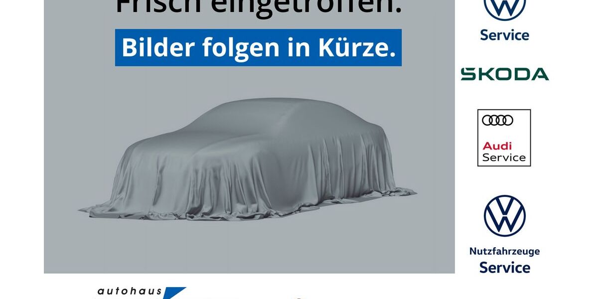 Nissan Navara 100.000 km 27.989 &euro; Bahretal 01819