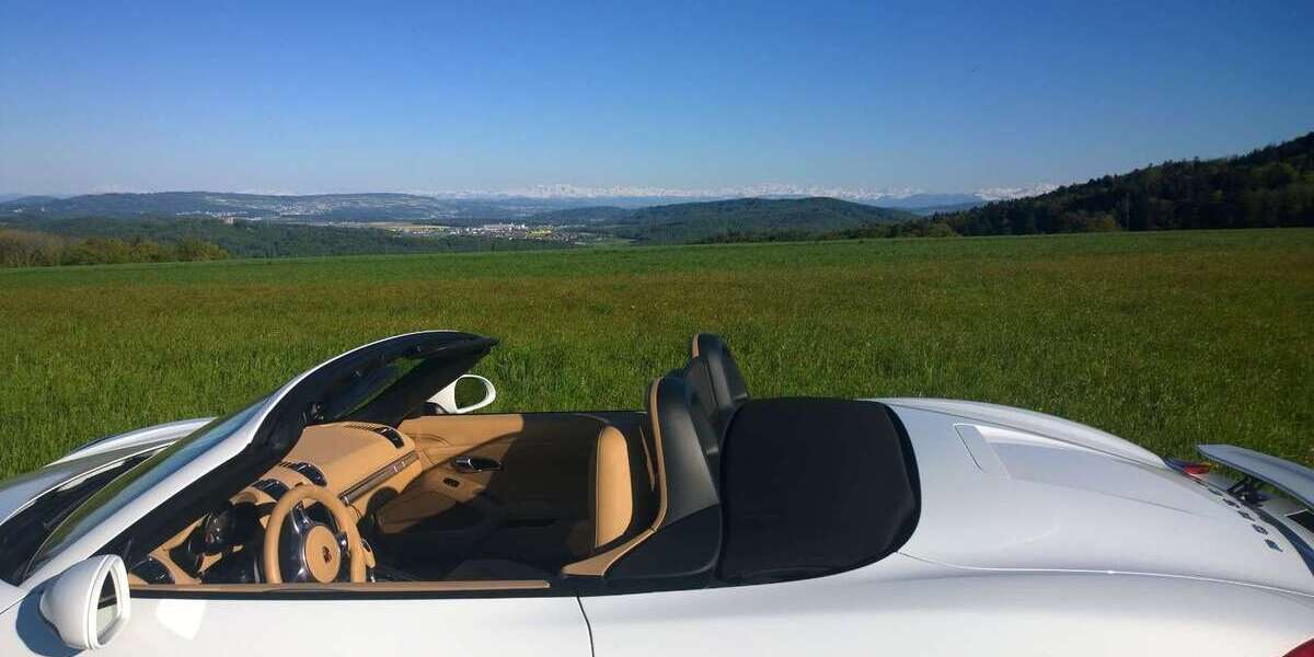 Porsche Boxster 55.000 km 49.900 &euro; Laufenburg 79725