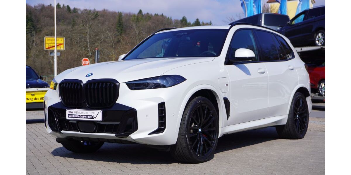 BMW X5 19.990 km 98.750 &euro; Deuerling 93180