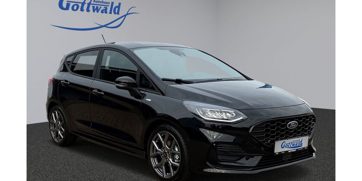 Ford Fiesta 8.950 km 22.490 &euro; Luckenwalde 14943