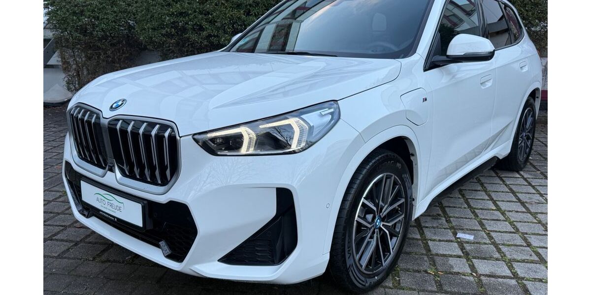 BMW X1 12.500 km 48.990 &euro; Unterschleißheim 85716