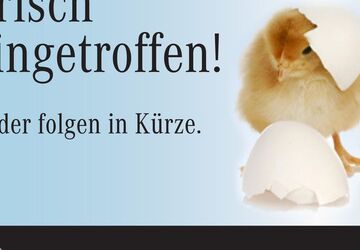 Mercedes-Benz EQS SUV 35.231 km 104.350 &euro; Landsberg am Lech 86899