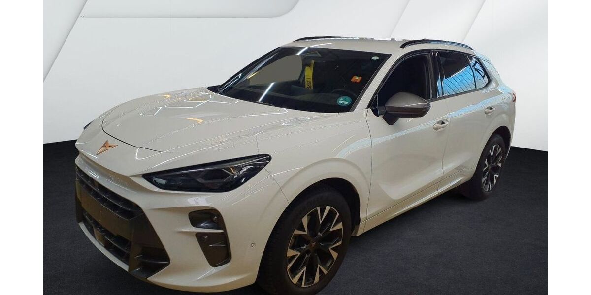 Cupra Terramar 26.657 km 30.980 &euro; Pfalzgrafenweiler 72285