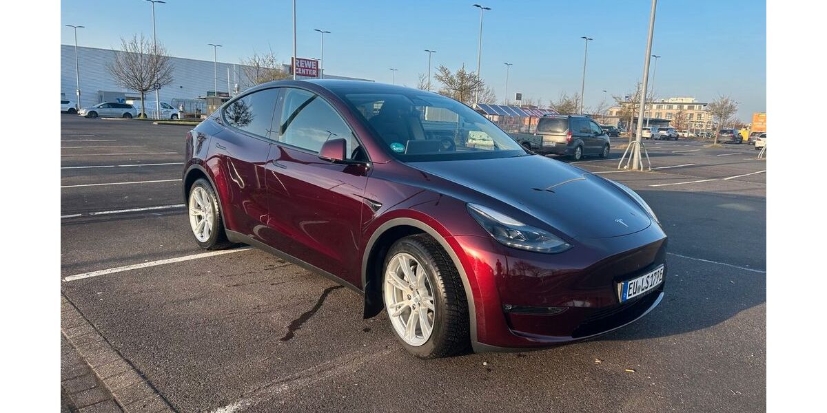 Tesla Model Y 40.000 km 35.000 &euro; Euskirchen 53879