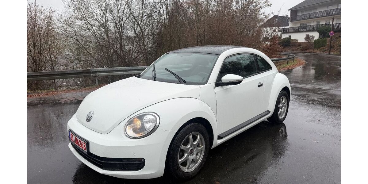 VW Beetle 100.600 km 9.990 &euro; Wilden (Siegerland) 57234