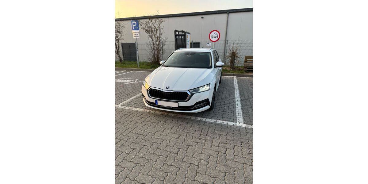 Skoda Octavia 71.000 km 19.000 &euro; Frankfurt am Main 60362