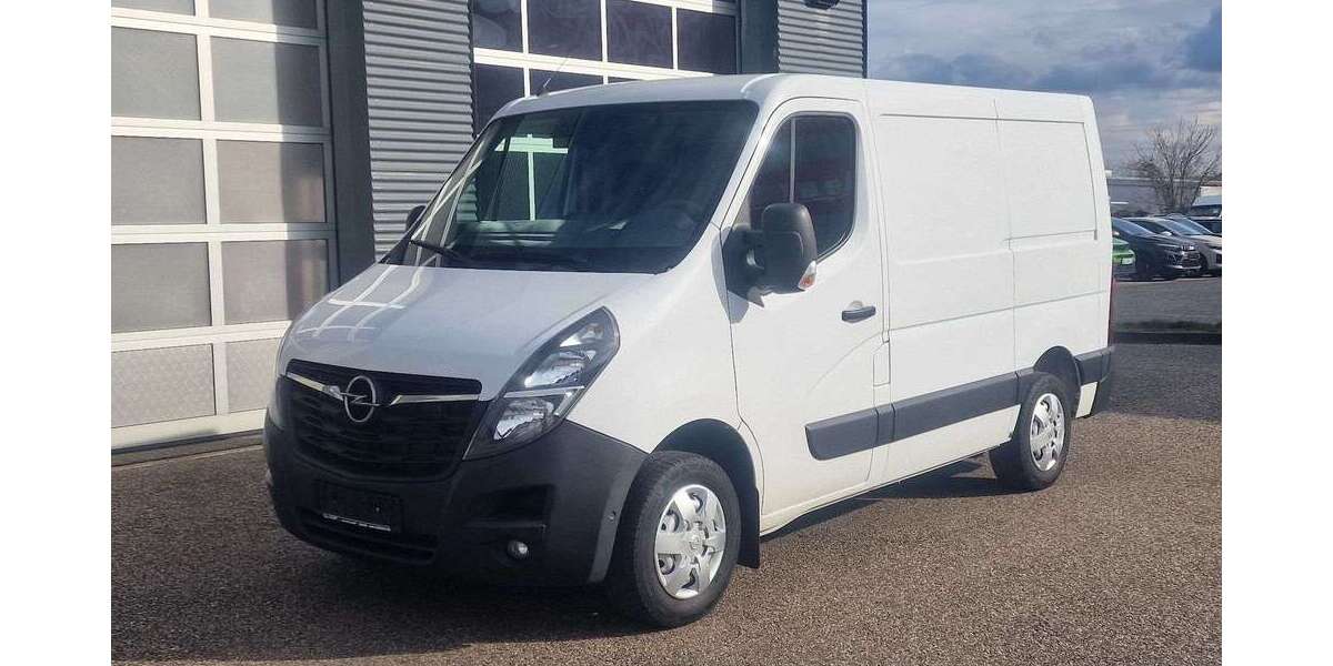 Opel Movano 88.000 km 22.998 &euro; Landau 76829