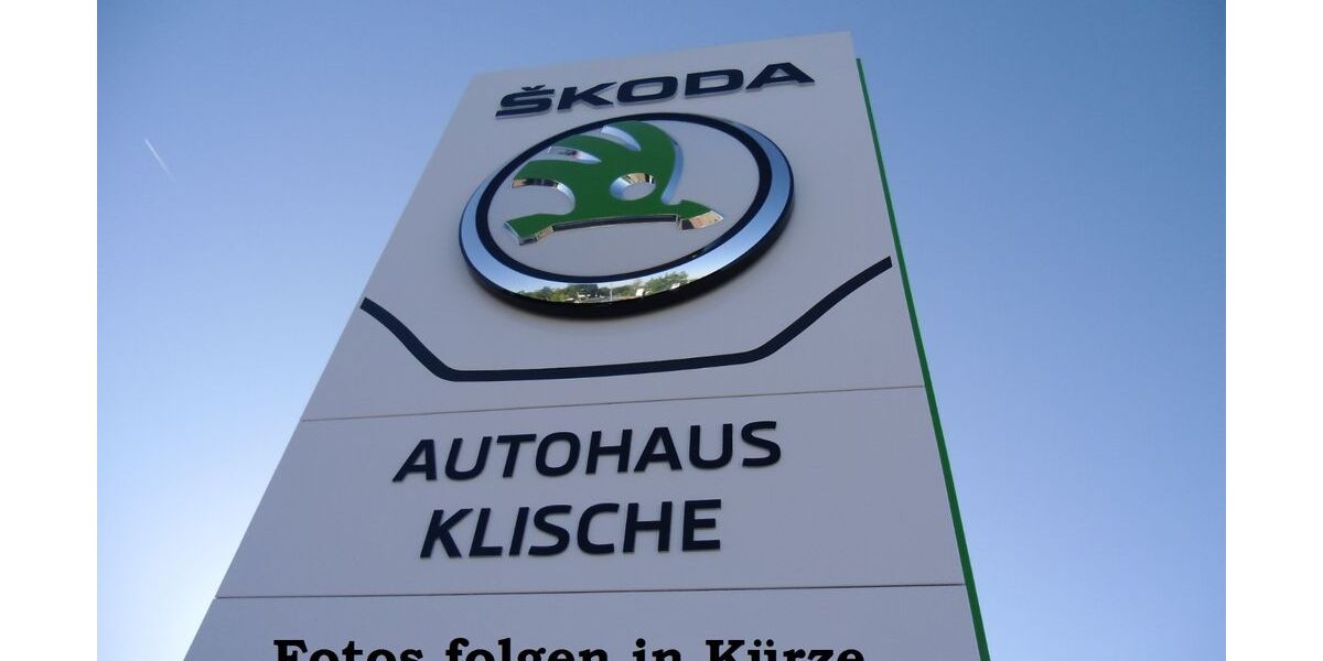 Ford Galaxy 137.804 km 17.900 &euro; Görlitz 02828