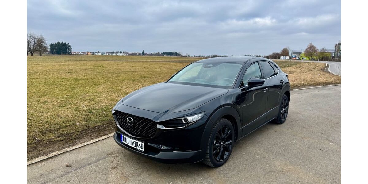 Mazda CX-30 5.000 km 29.300 &euro; Hechingen 72379