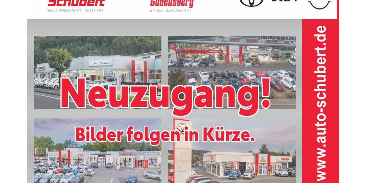 Nissan Leaf 18.416 km 17.890 &euro; Marburg 35037