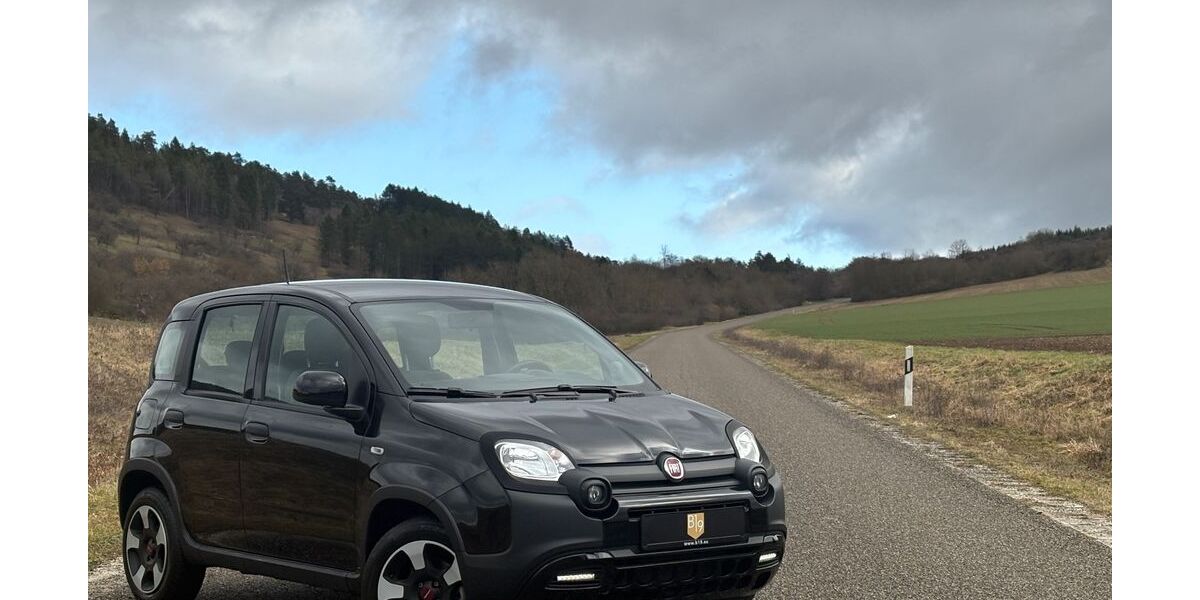Fiat Panda 7.050 km 12.500 &euro; Lauda-Königshofen 97922