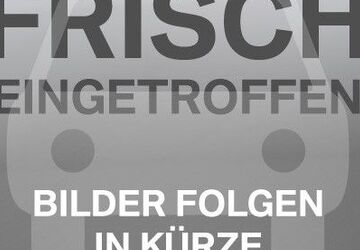 VW Beetle 104.000 km 11.890 &euro; Worms 67547