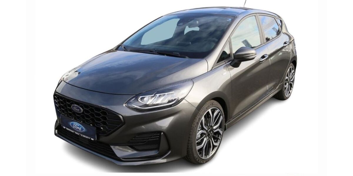 Ford Fiesta 19.900 km 17.980 &euro; Braubach 56338