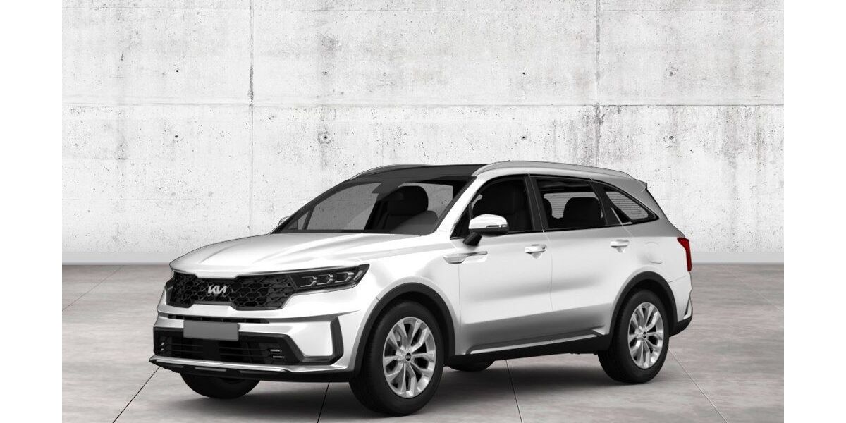 Kia Sorento 15.850 km 56.990 &euro; Düren 52353