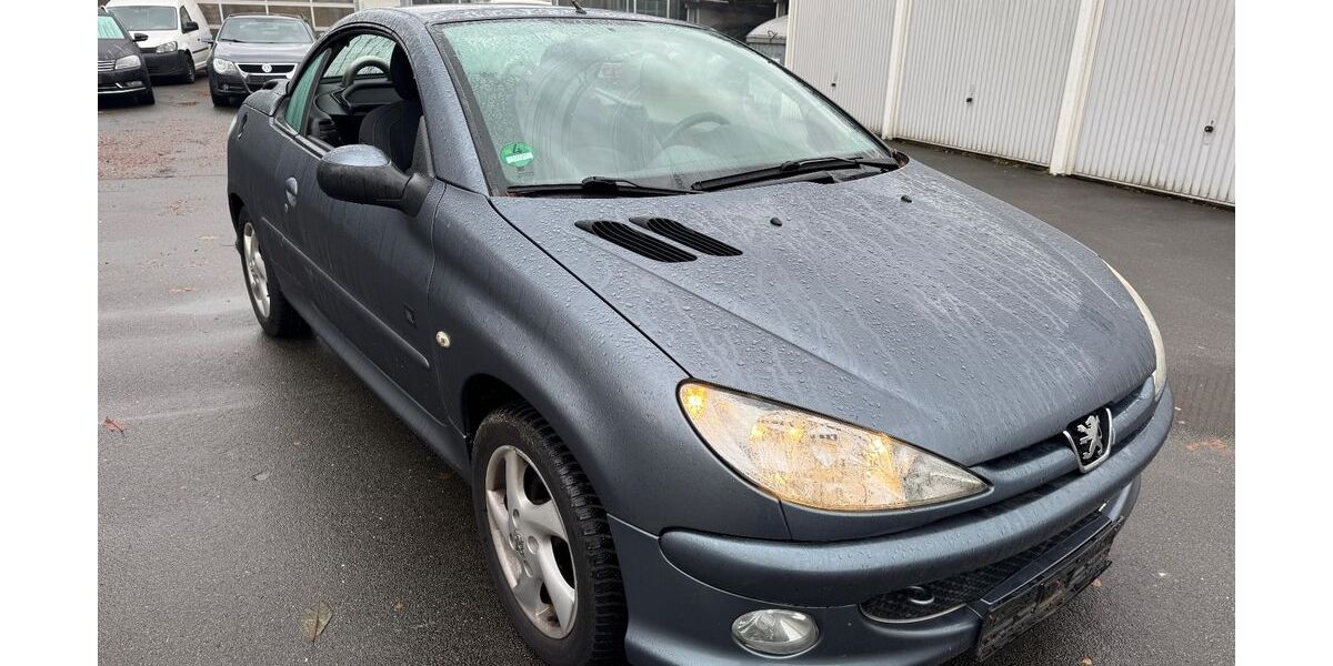 Peugeot 206 149.534 km 800 &euro; Henstedt-Ulzburg (bei Hamburg) 24558