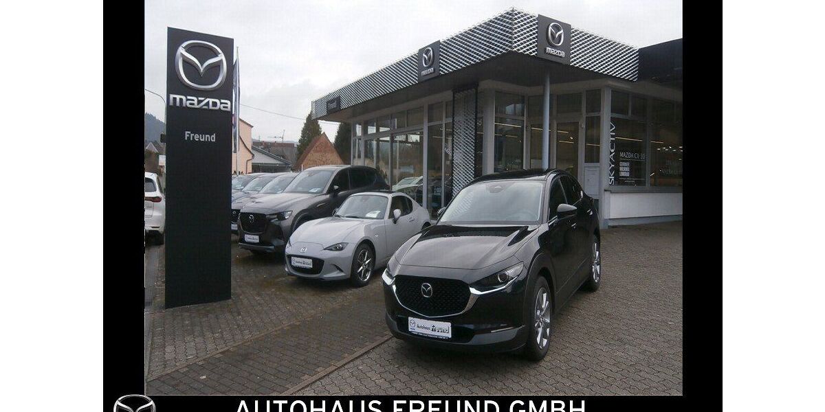 Mazda CX-30 18.910 km 25.590 &euro; Fischbach bei Dahn 66996