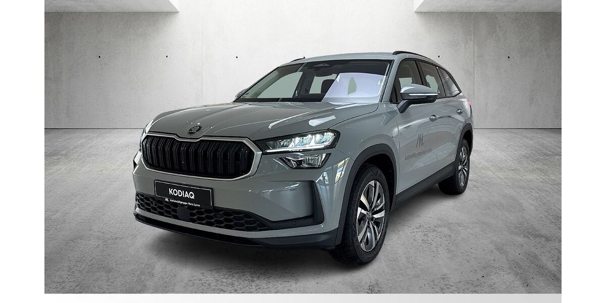 Skoda Kodiaq 1.250 km 39.460 &euro; Einbeck 37574