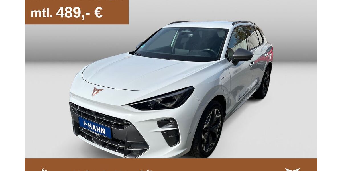 Cupra Terramar 22.990 km 51.980 &euro; Pforzheim 75179