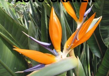 Ford Tourneo Connect 160.000 km 13.860 &euro; Neu-Ulm 89231