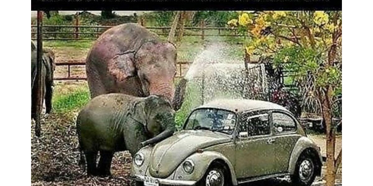 VW Golf Plus 1.6 TDI BMT*Comfortline* Klimaaut Navi 150.000 km 4.400 &euro; Seevetal - Hittfeld 21218