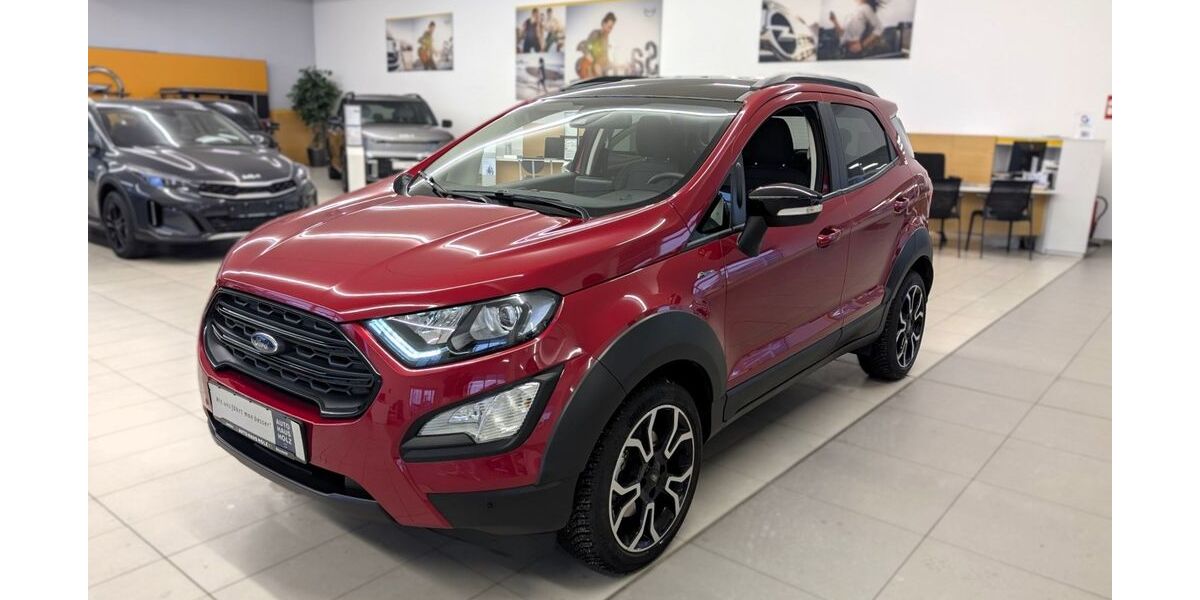 Ford EcoSport 11.000 km 20.790 &euro; Landau 76829