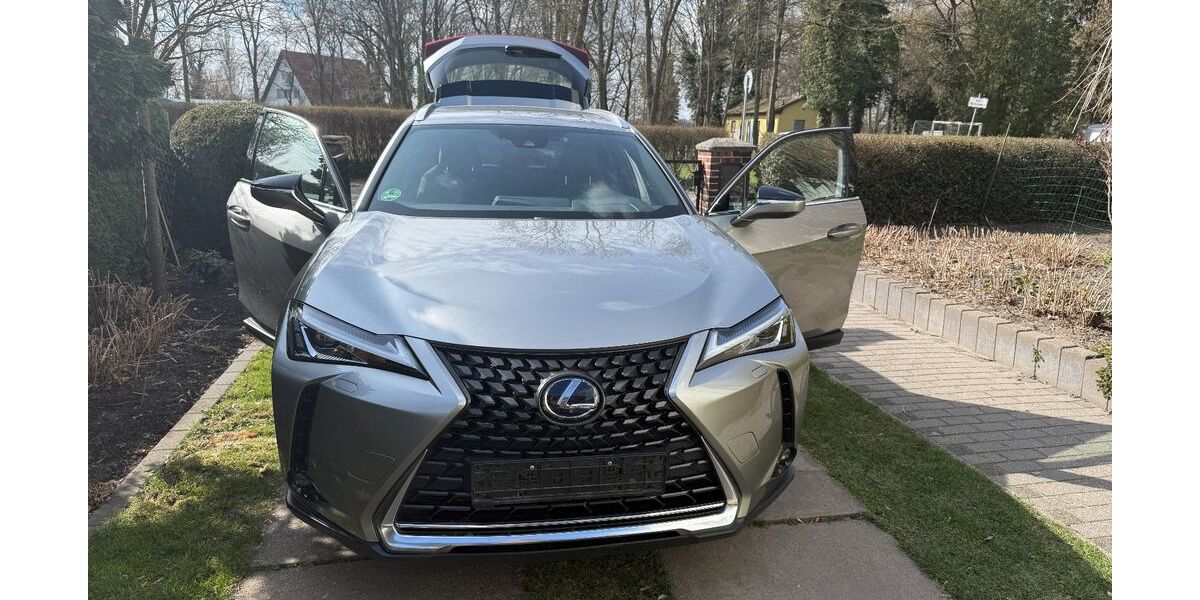 Lexus UX 83.399 km 20.450 &euro; Ketzin 14669
