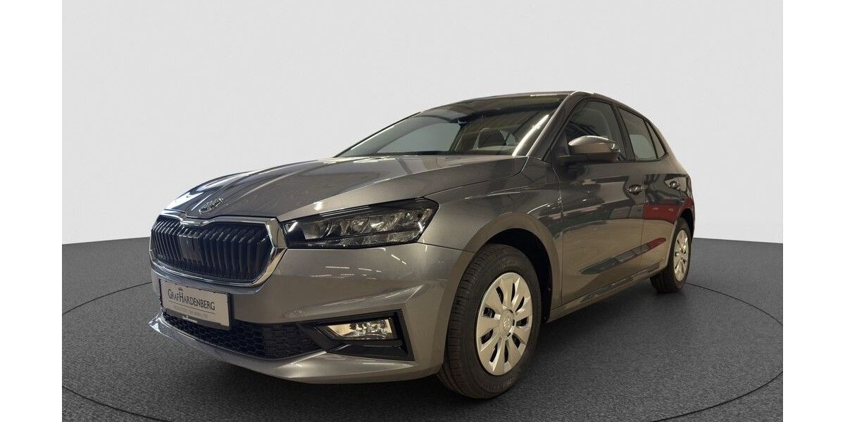 Skoda Fabia 1.150 km 20.890 &euro; Karlsruhe 76131