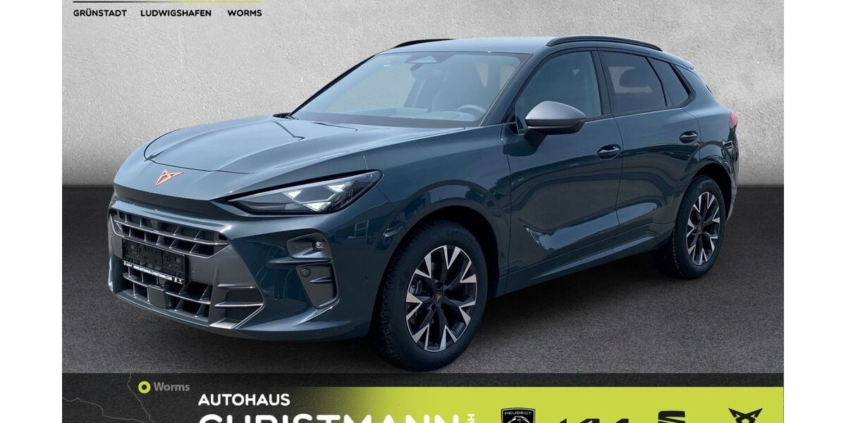 Cupra Terramar 13.000 km 38.189 &euro; Worms 67547