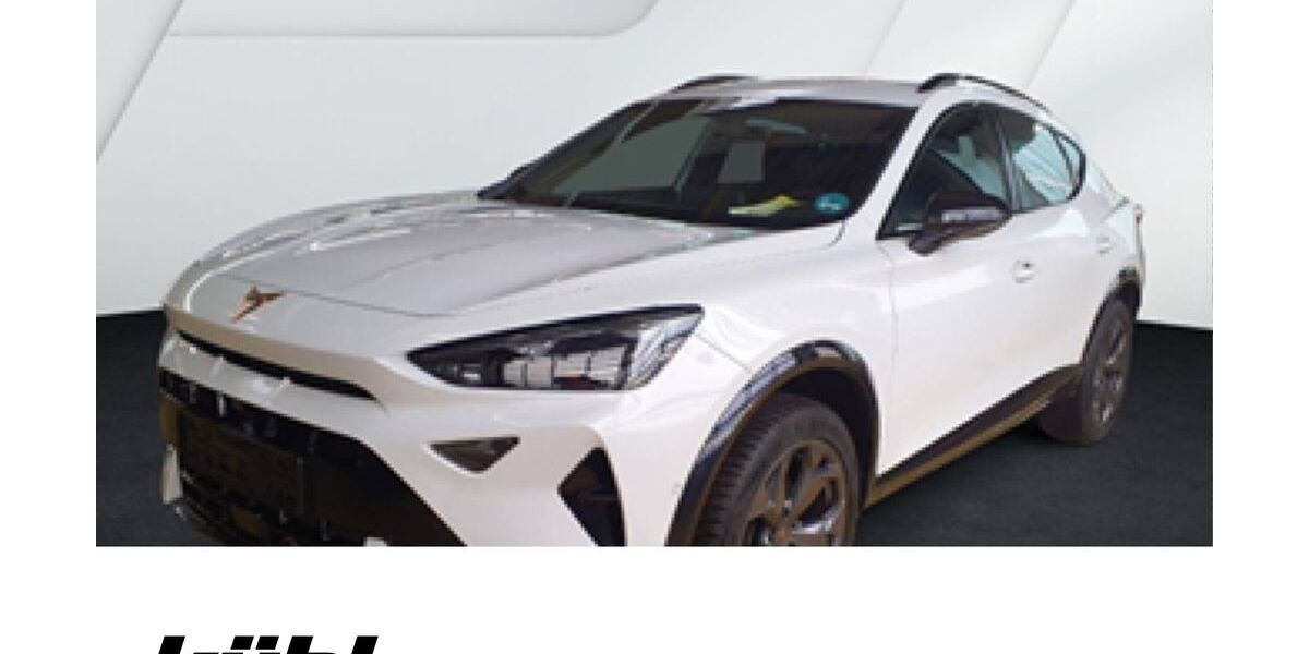 Cupra Formentor 26.990 km 32.690 &euro; Gifhorn 38518