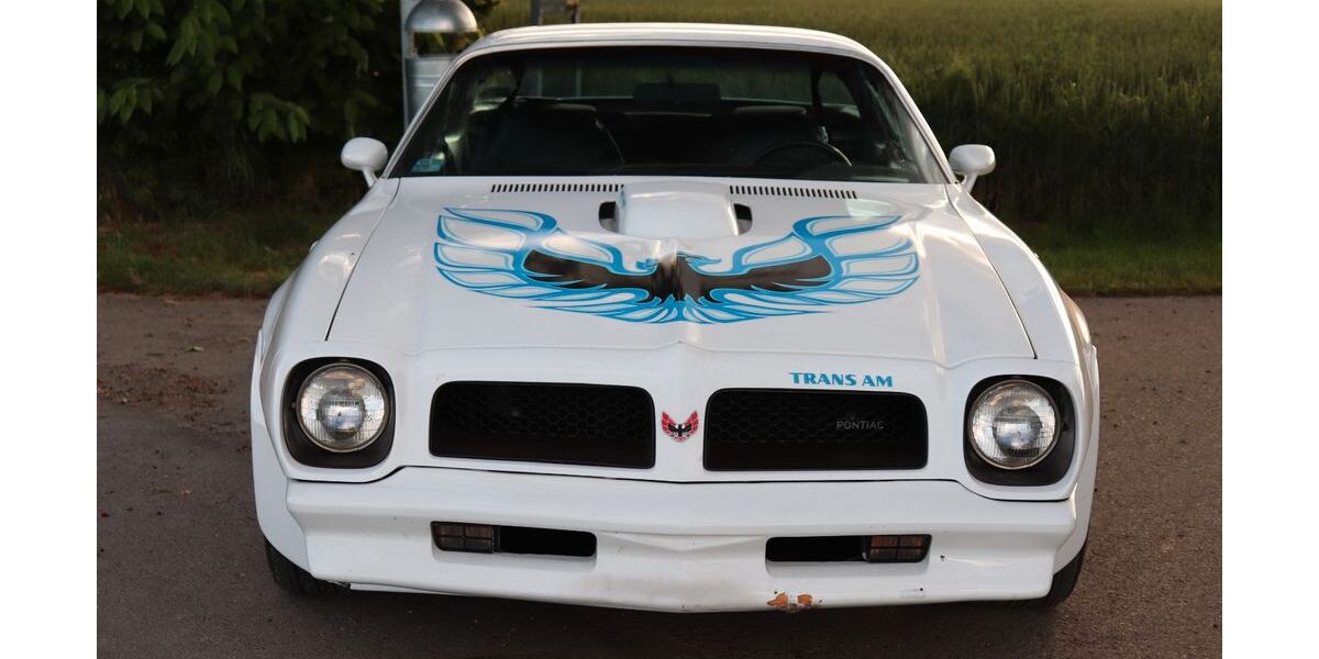 Pontiac Firebird 86.373 km 119.999 &euro; Bergtheim 97241