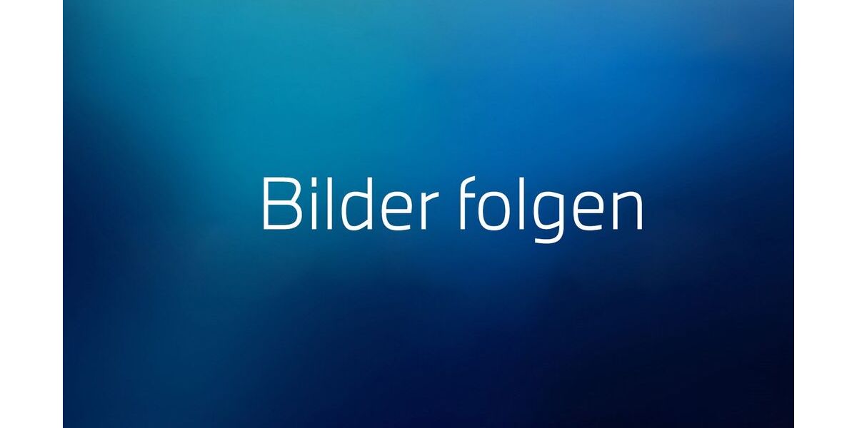 BMW 520 9.110 km 66.900 &euro; Heidelberg 69123