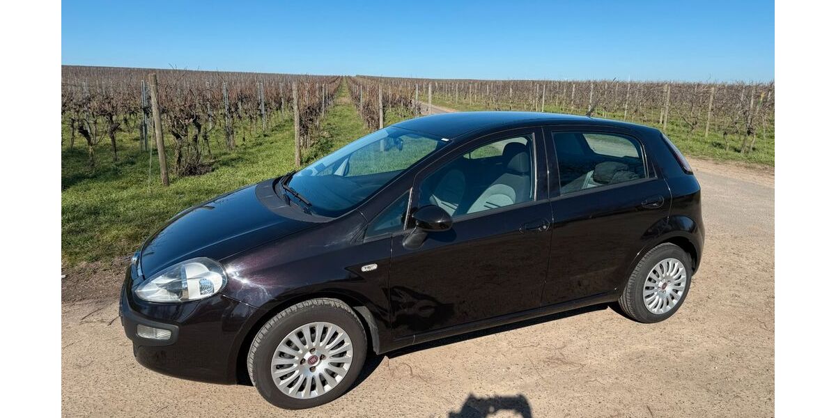 Fiat Punto Evo 57.031 km 4.499 &euro; Gau-Odernheim 55239