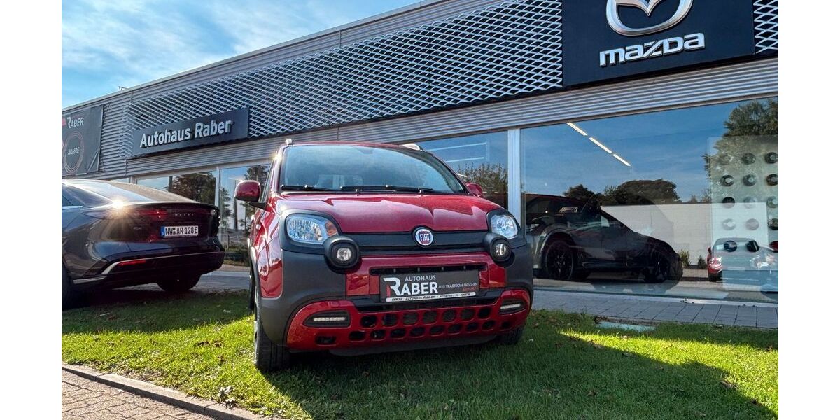 Fiat Panda 70.162 km 11.490 &euro; Neustadt 67433