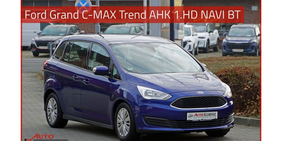 Ford Grand C-Max 123.211 km 10.990 &euro; Papenburg 26871
