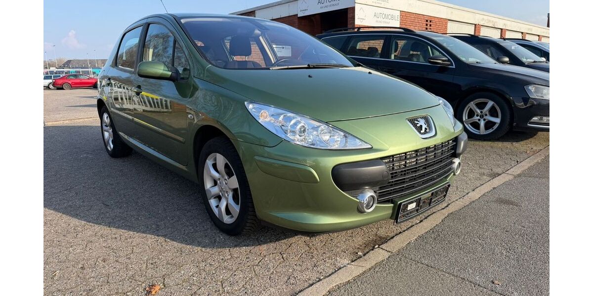 Peugeot 307 170.313 km 2.980 &euro; Rendsburg 24768