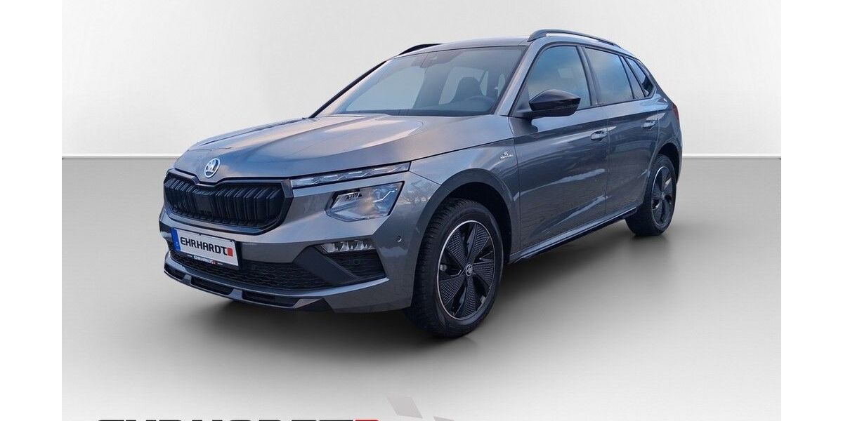 Skoda Kamiq 24.440 km 29.980 &euro; Ilmenau 98693
