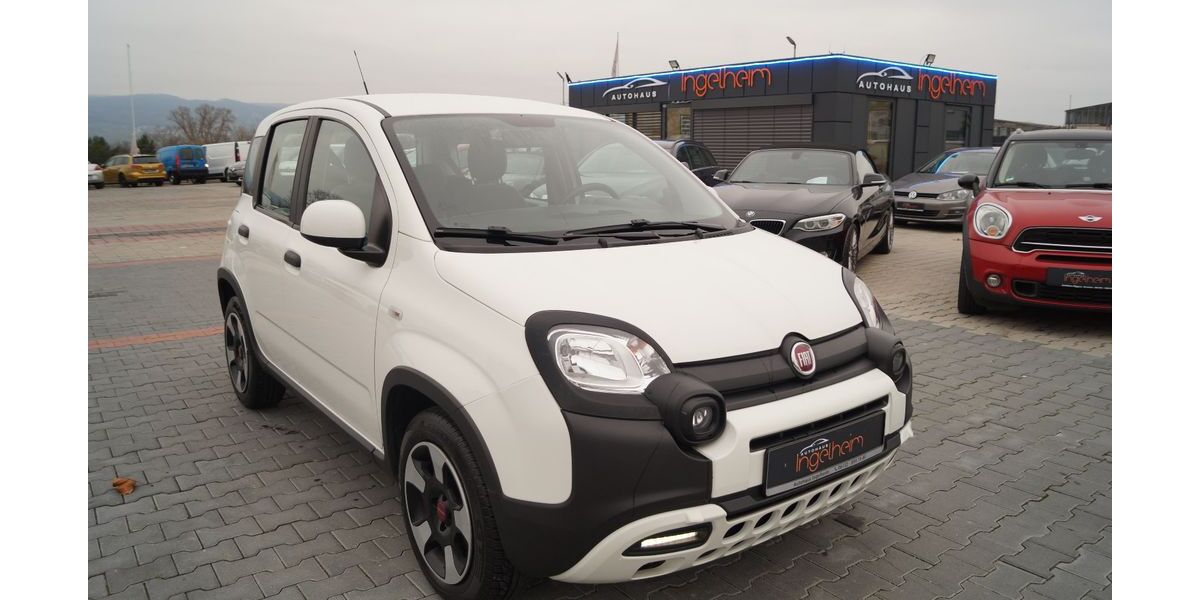 Fiat Panda 49.833 km 11.790 &euro; Ingelheim 55218