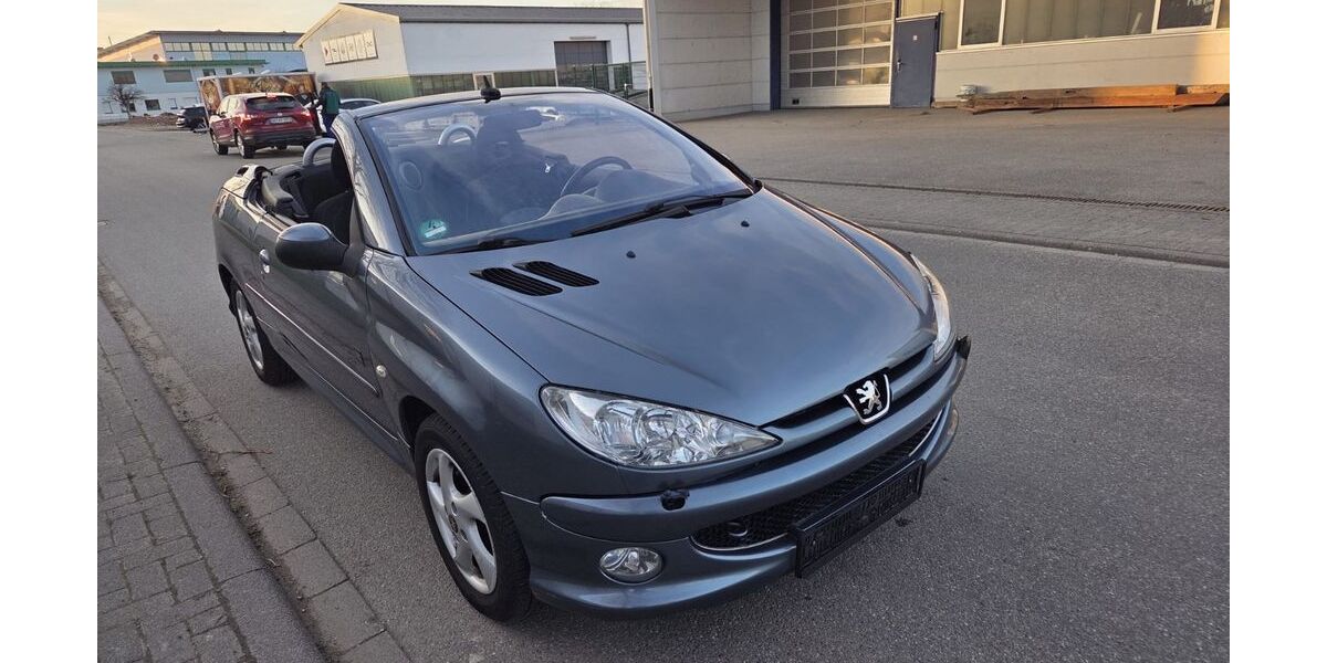 Peugeot 206 129.890 km 2.999 &euro; Kippenheim 77971